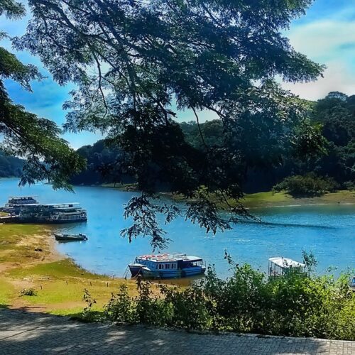 Thekkady